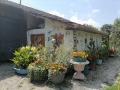 Продава  Къща област Велико Търново , с. Хотница , 1678 кв.м | 51656222 - изображение [2]