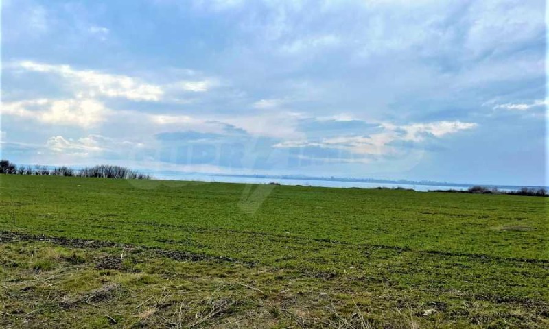 For Sale  Plot region Burgas , Pomorie , 5000 sq.m | 98713715 - image [3]