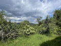 Продава КЪЩА, с. Раненци, област Кюстендил, снимка 5