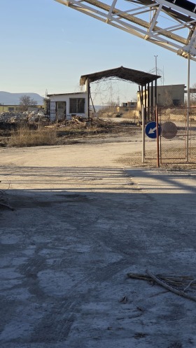 ������ ������� ������