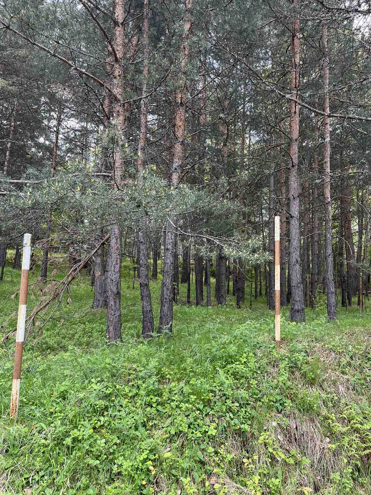 Продава ПАРЦЕЛ, с. Бойково, област Пловдив, снимка 2 - Парцели - 40022330