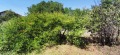 Продава КЪЩА, област Пазарджик, с. Овчеполци • 39000 лв. • 44714258 — Holmes.bg