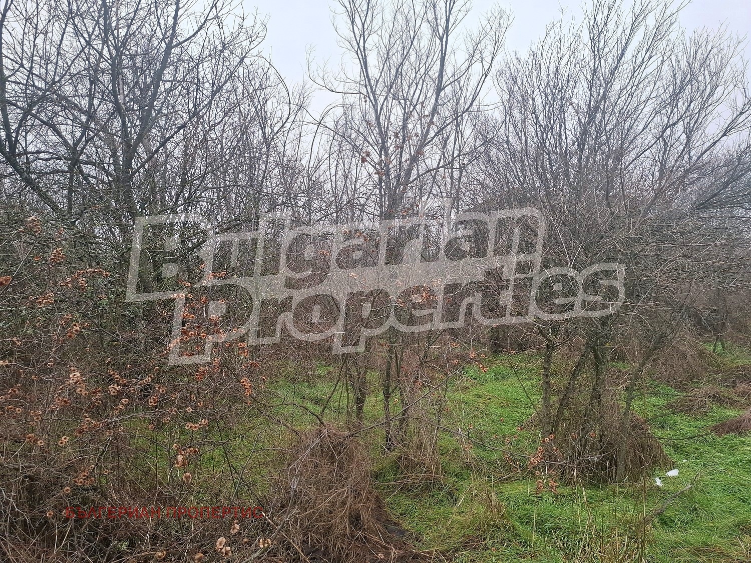 ������� ���� | Imot.bg � ����������� 13