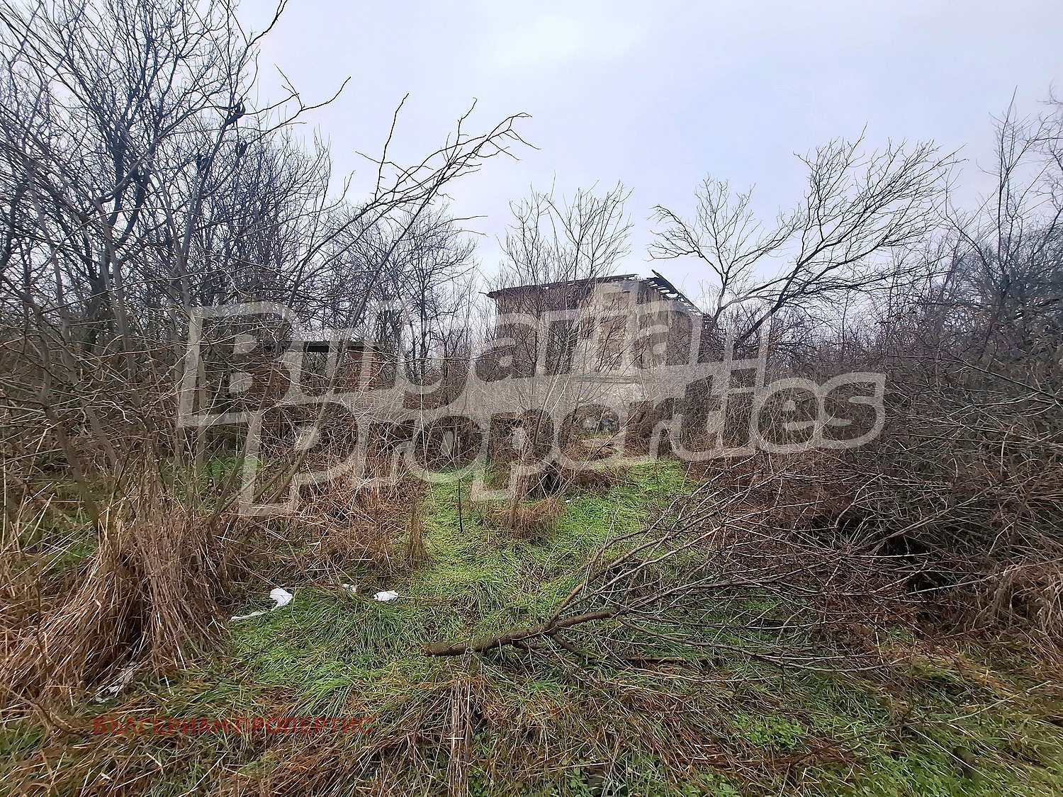 ������� ���� | Imot.bg � ����������� 12