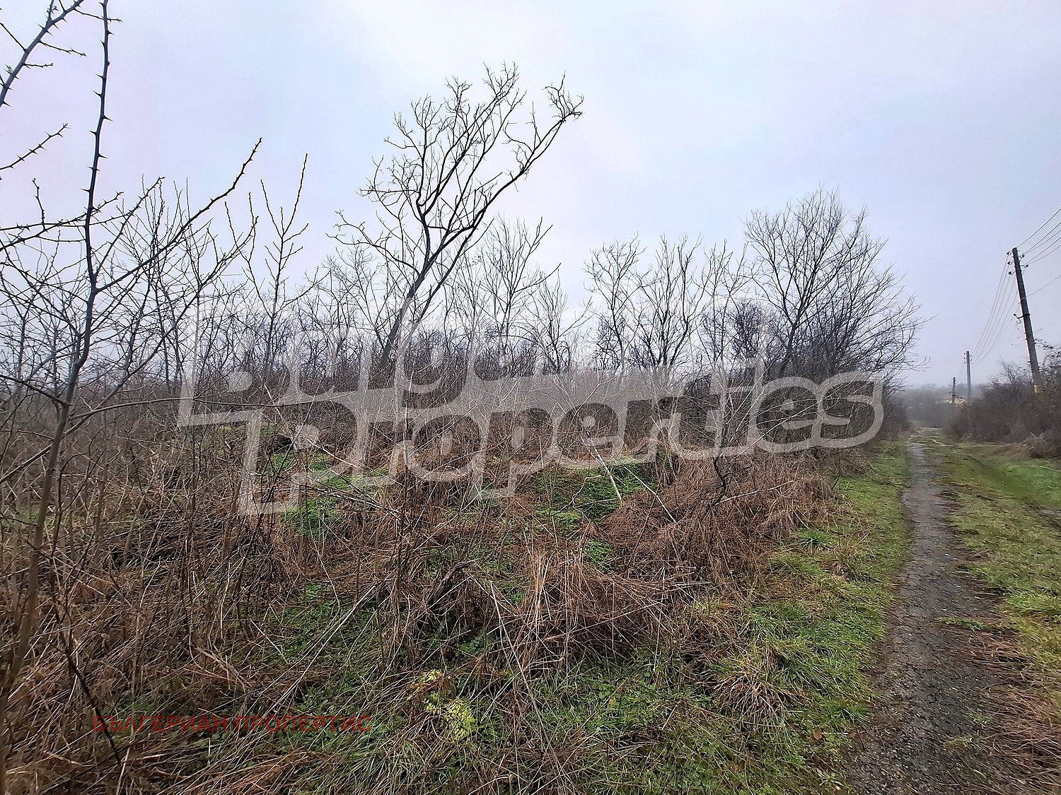 ������� ���� | Imot.bg � ����������� 5