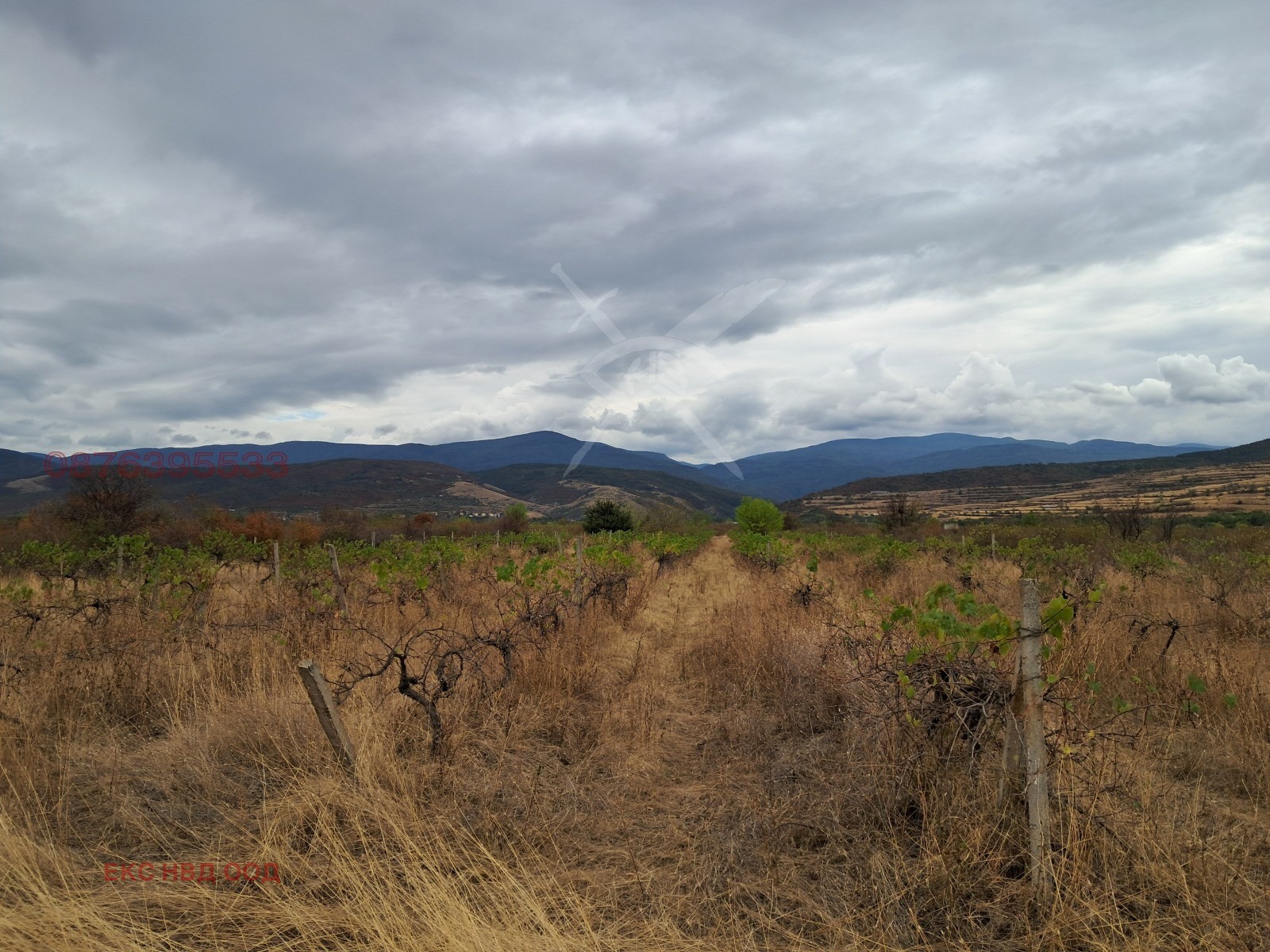 Продава ПАРЦЕЛ | Imot.bg — изображение 1