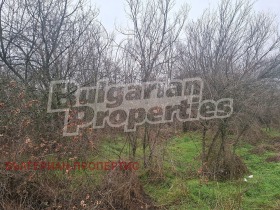 ������� ���� | Imot.bg � ����� ������ 13