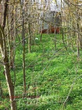 ������� ���� | Imot.bg � ����� ������ 7