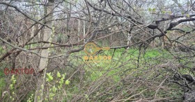 ������� ���� | Imot.bg � ����� ������ 9