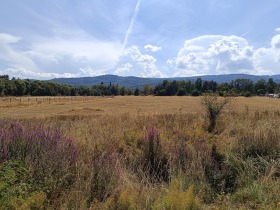 Verhaallijn m-t Tsigov tsjark, regio Pazardzjik 1