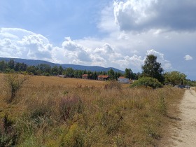 Parcelle m-t Tsigov tchark, région Pazardjik 2