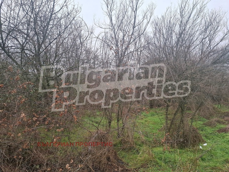 Продава КЪЩА, с. Генерал Тошево, област Ямбол, снимка 12 - Къщи - 53520037