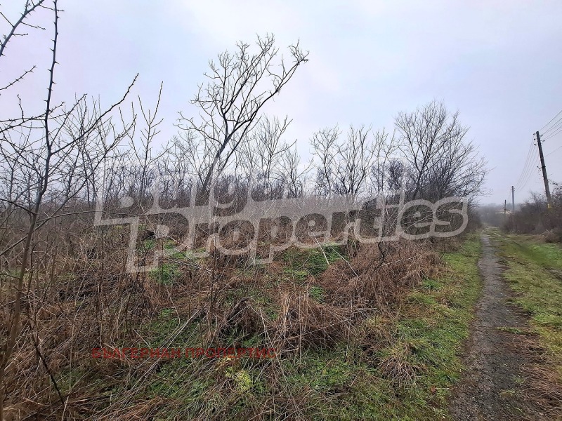 Продава КЪЩА, с. Генерал Тошево, област Ямбол, снимка 4 - Къщи - 53520037