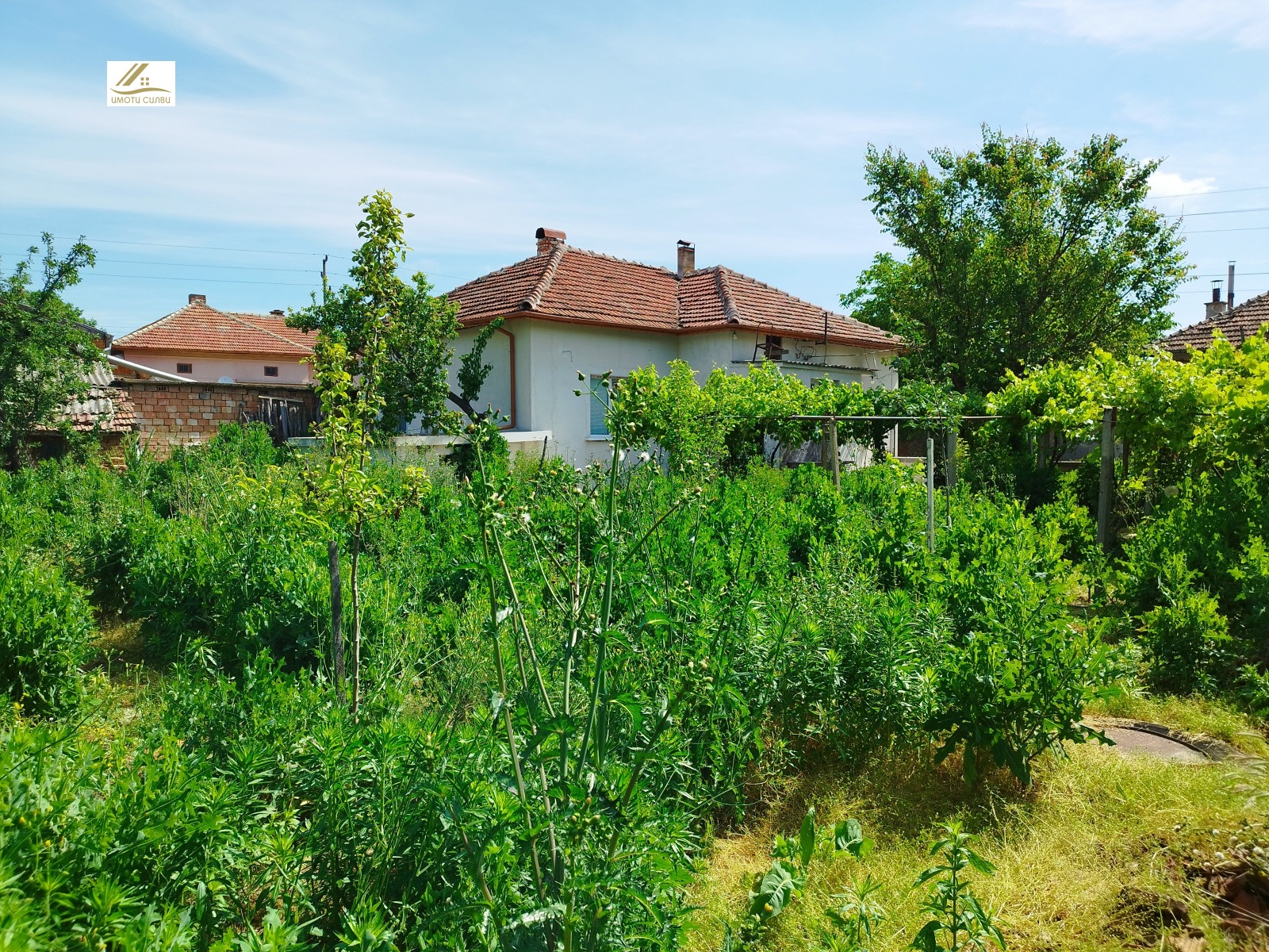 Продава КЪЩА, с. Милковица, област Плевен, снимка 16 - Къщи - 54832258