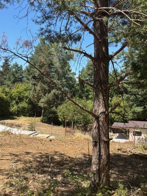 Продаја  Плот регион Пловдив , Галабово , 511 м2 | 17685839 - слика [5]