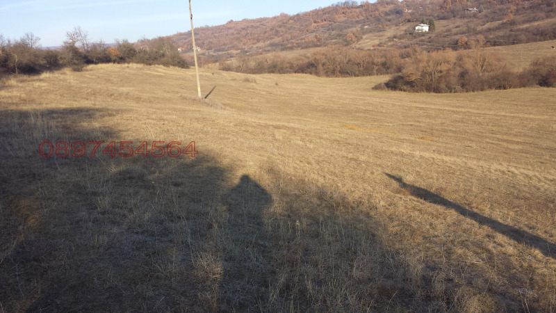 Продава ЗЕМЕДЕЛСКА ЗЕМЯ, с. Ковачевци, област Перник, снимка 6 - Земеделска земя - 52784010