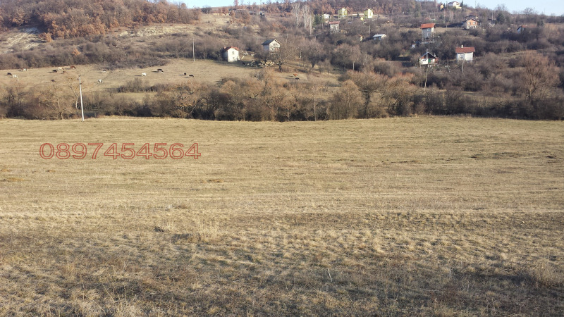 Продава ЗЕМЕДЕЛСКА ЗЕМЯ, с. Ковачевци, област Перник, снимка 5 - Земеделска земя - 52784010