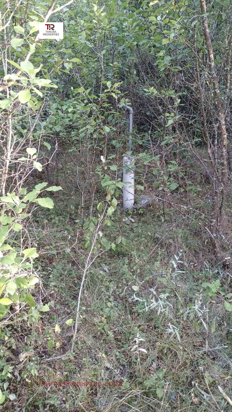 For Sale  Villa region Pernik , Egalnitsa , 58 sq.m | 11776860 - image [16]