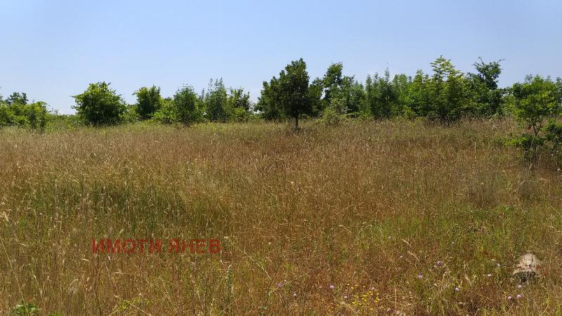 Продава  Земеделска земя област Бургас , с. Варвара , 19 дка | 85992915 - изображение [7]