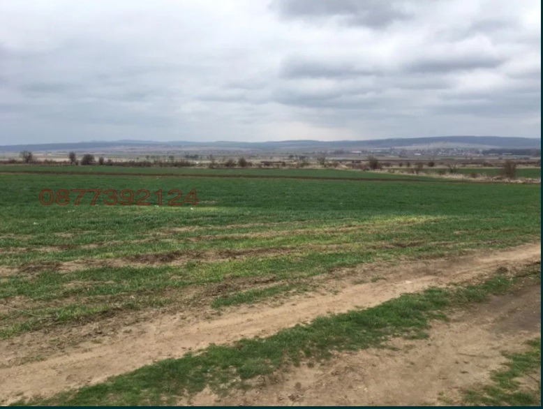 ������� ���������� ���� | Imot.bg � ����������� 3