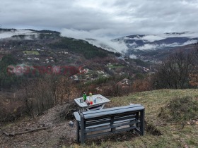 ������ ������� ������