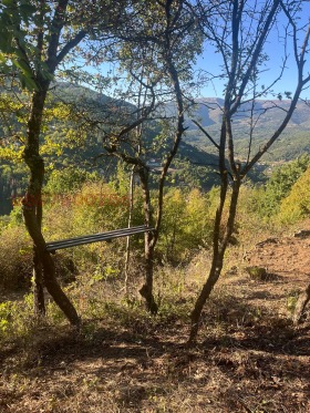 ������� ������ | Imot.bg � ����� ������ 16