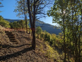 ������� ������ | Imot.bg � ����� ������ 12