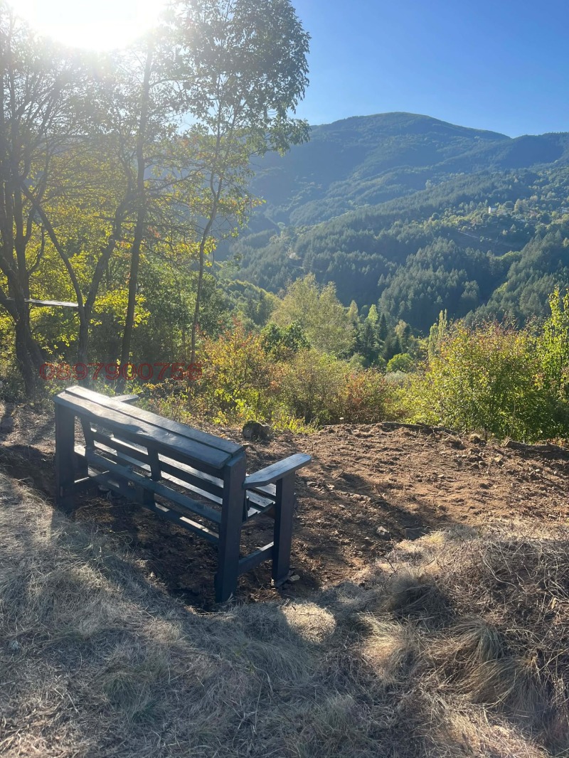 Продава ПАРЦЕЛ, с. Свидня, област София област, снимка 9 - Парцели - 53130925