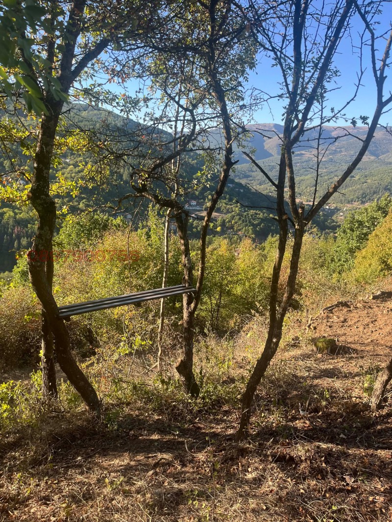 Продава ПАРЦЕЛ, с. Свидня, област София област, снимка 16 - Парцели - 53130925