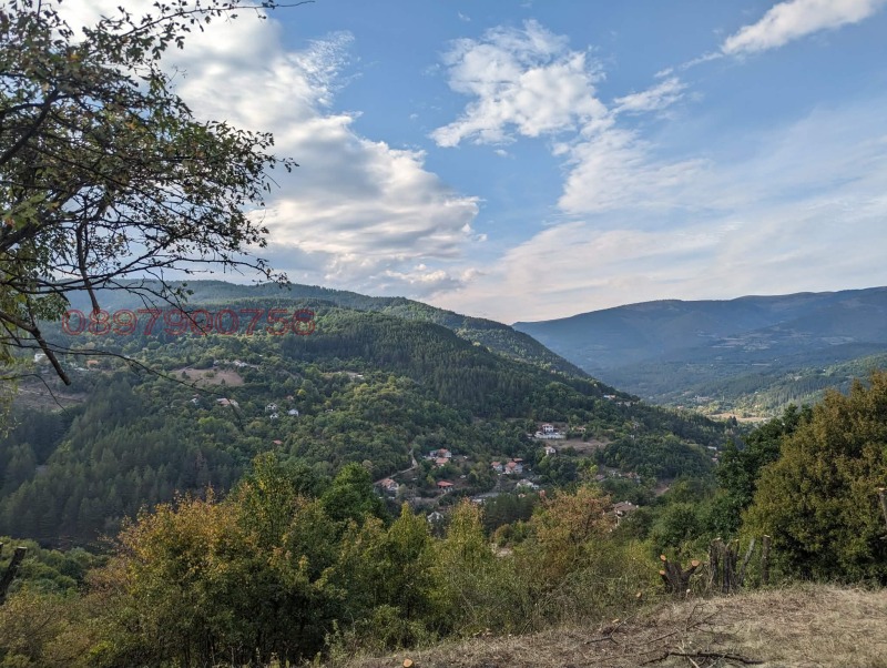 Продава ПАРЦЕЛ, с. Свидня, област София област, снимка 3 - Парцели - 53130925