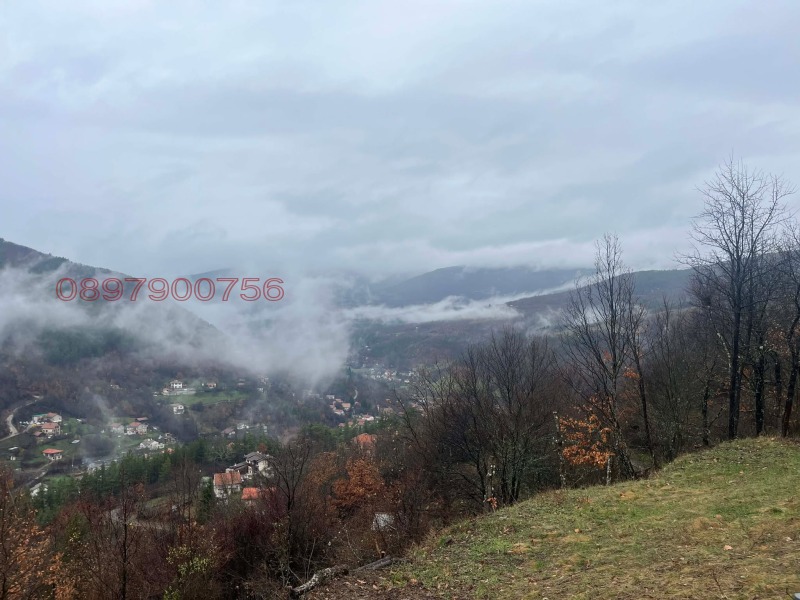 Продава ПАРЦЕЛ, с. Свидня, област София област, снимка 15 - Парцели - 53130925