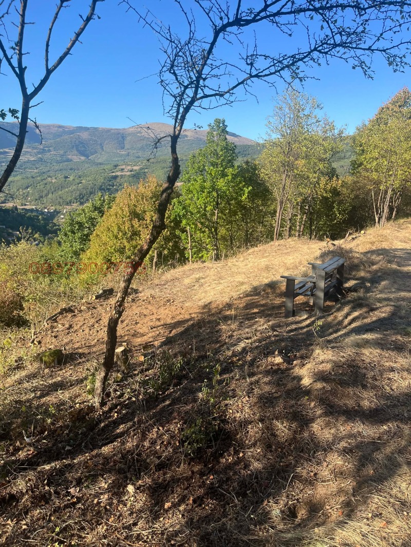 Продава ПАРЦЕЛ, с. Свидня, област София област, снимка 11 - Парцели - 53130925