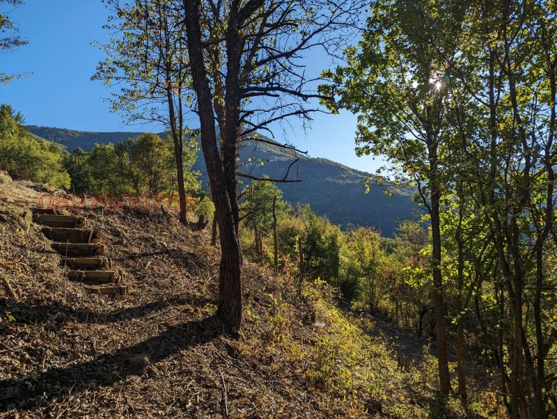 Продава ПАРЦЕЛ, с. Свидня, област София област, снимка 4 - Парцели - 53130925