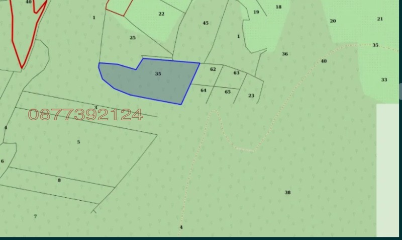 Продава ЗЕМЕДЕЛСКА ЗЕМЯ, с. Церово, област Пазарджик, снимка 2 - Земеделска земя - 53213139