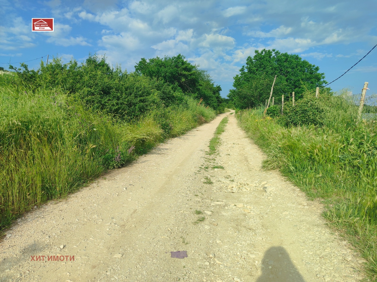 Продава БИЗНЕС ИМОТ, с. Върбешница, област Враца, снимка 10 - Други - 54797269