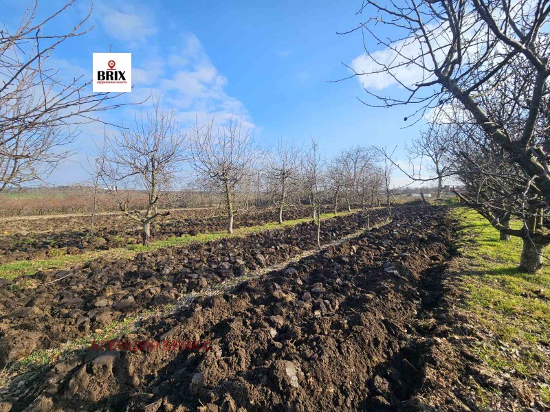 Продава ПАРЦЕЛ в област Русе, с. Борисово - 1969 кв.м / 9 900 € » 19 362.72 лв., АГЕНЦИЯ БРИКС
