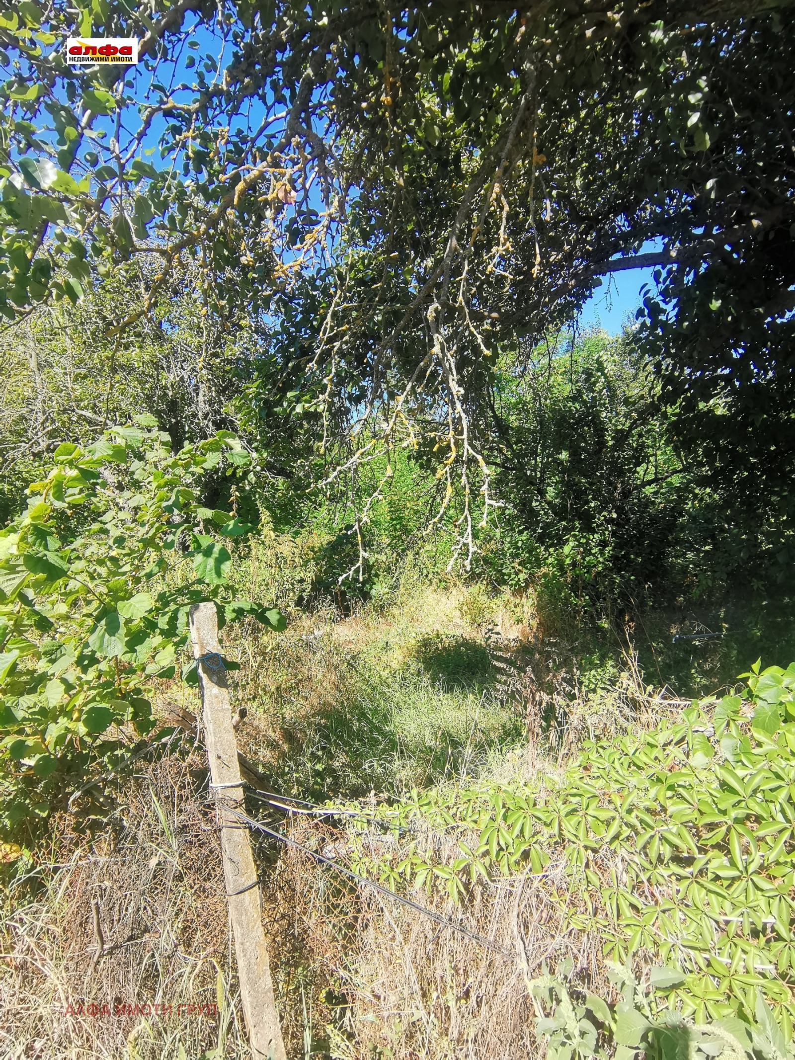 ������� ������ | Imot.bg � ����������� 6