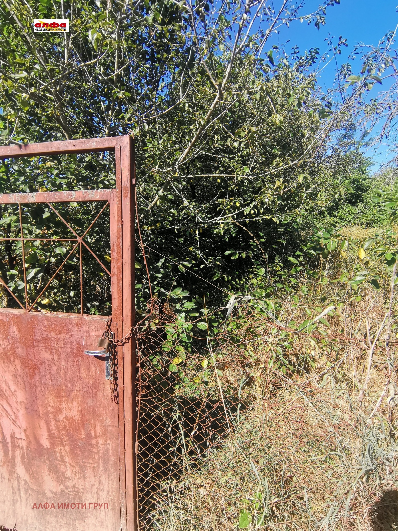 ������� ������ | Imot.bg � ����������� 2