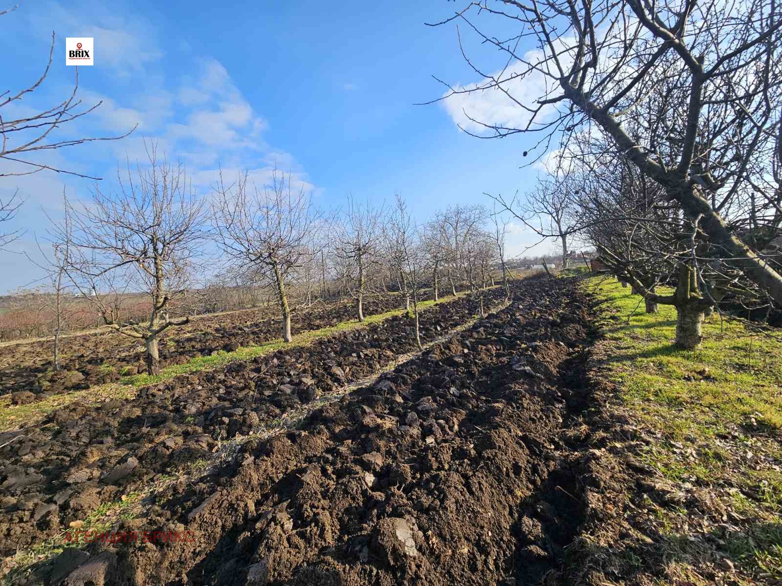 Продава ПАРЦЕЛ | Imot.bg — изображение 4