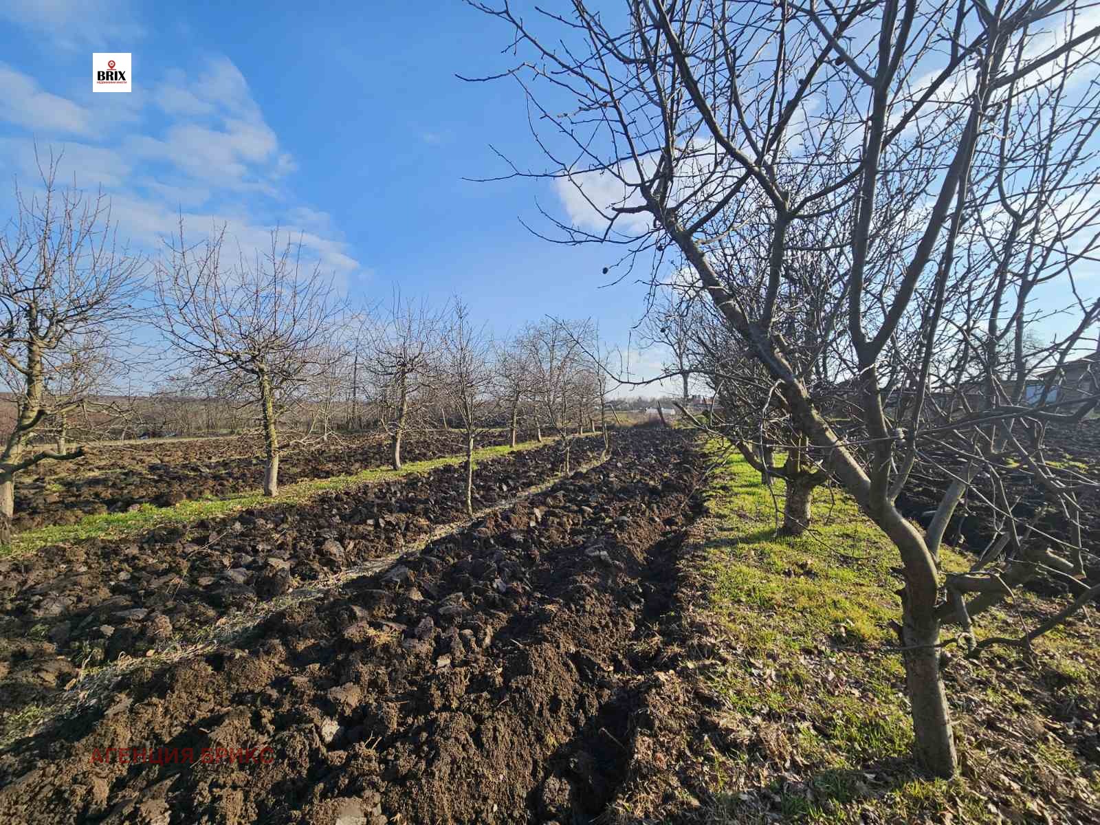 Продава ПАРЦЕЛ, с. Борисово, област Русе, снимка 2 - Парцели - 49318181
