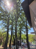 Продава КЪЩА, с. Старозагорски бани, област Стара Загора, снимка 2