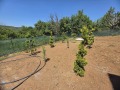 Продава  Къща област Стара Загора , с. Старозагорски бани , 90 кв.м | 40169424 - изображение [4]