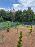 Продава  Къща област Стара Загора , с. Старозагорски бани , 90 кв.м | 40169424 - изображение [10]