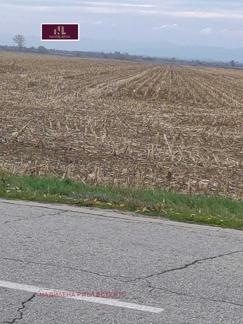 Продава ПАРЦЕЛ, с. Равно поле, област София област, снимка 5 - Парцели - 52553547