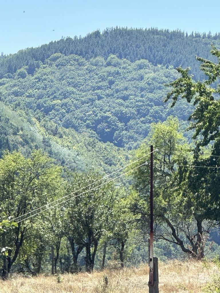 ������� ���� | Imot.bg � ����������� 4