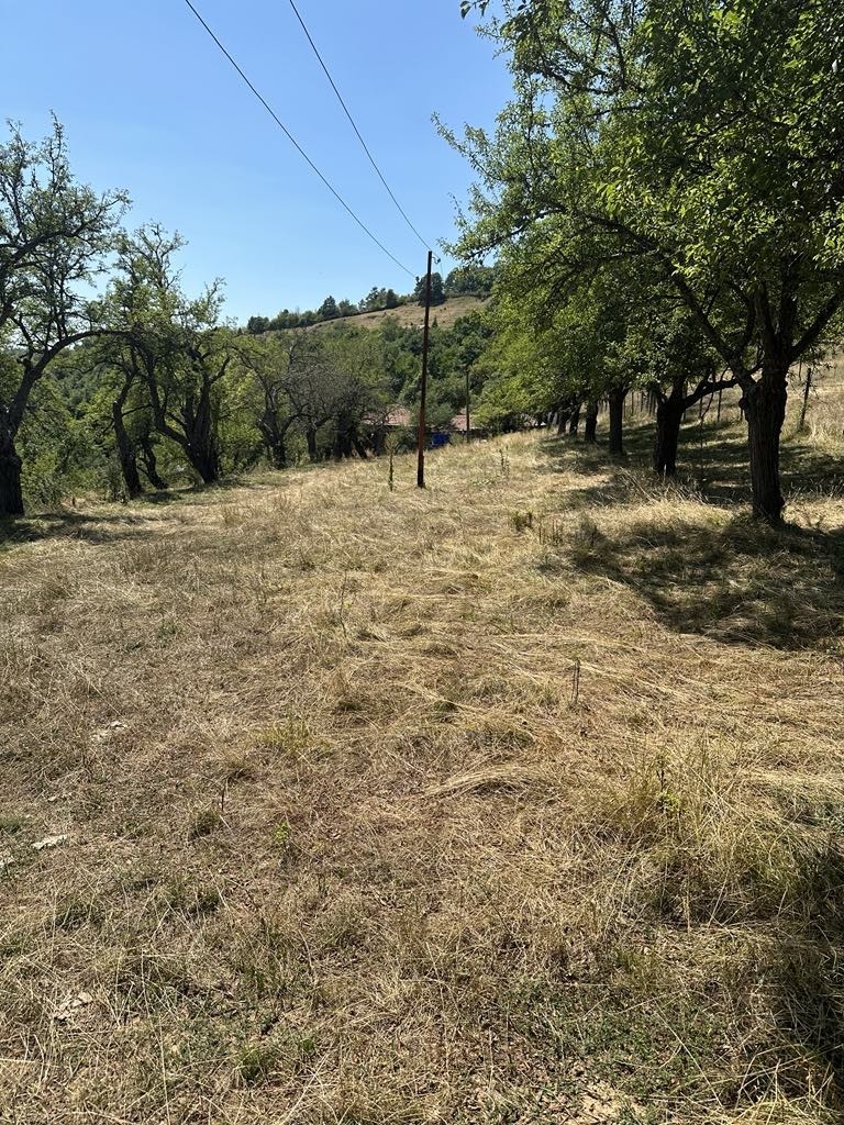 ������� ���� | Imot.bg � ����������� 6