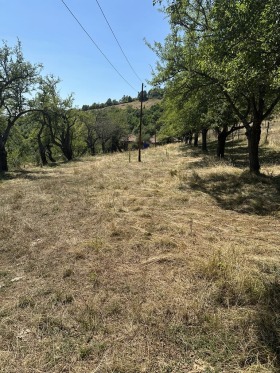 ������� ���� | Imot.bg � ����� ������ 6