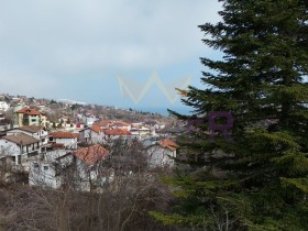 ����� ������� ����,��. ������, ������ ������