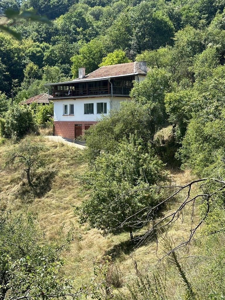Продава  Къща област Кюстендил , с. Церовица , 160 кв.м | 51245383
