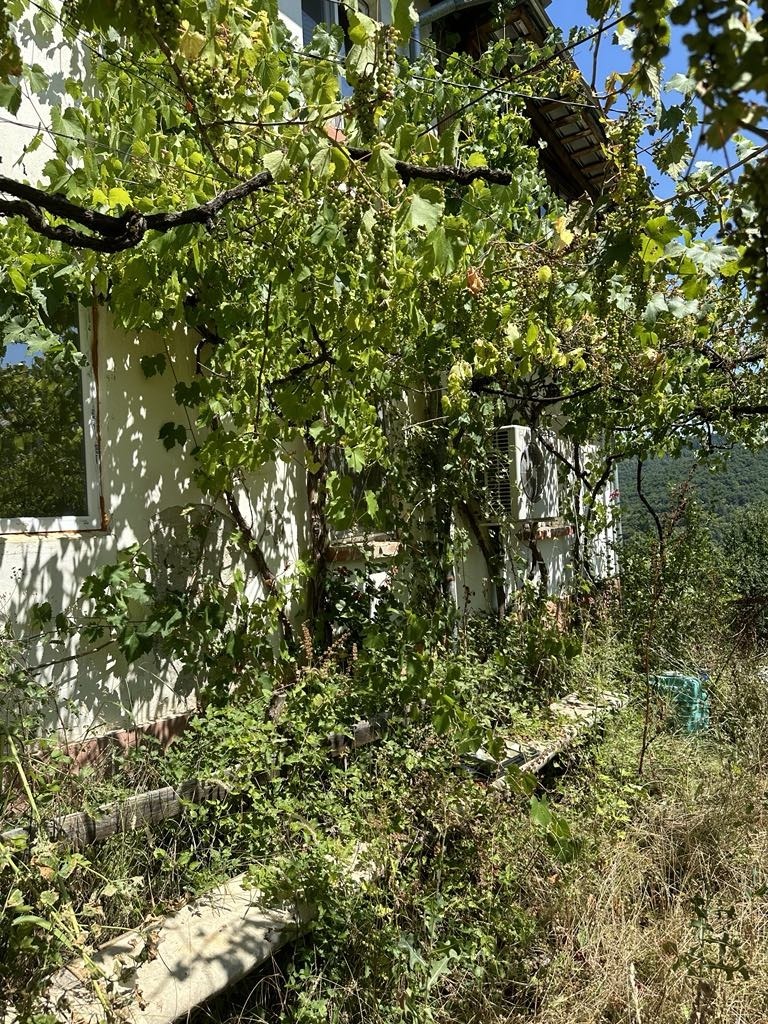 Продава  Къща област Кюстендил , с. Церовица , 160 кв.м | 51245383 - изображение [11]